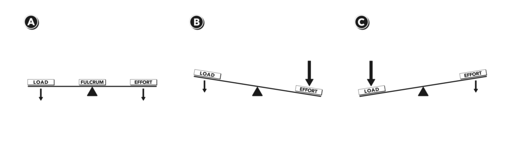 CrossFit | Anatomy of Levers, Part 1: First-Class Levers