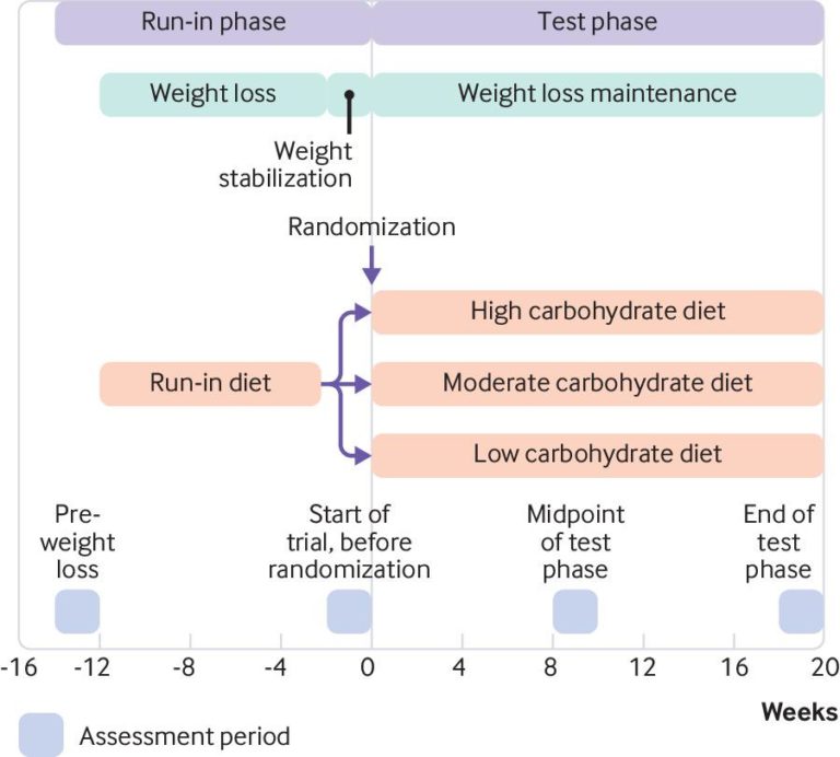 A graphic depicting the design and timelines of the study "Effects of a Low Carbohydrate Diet on Energy Expenditure During Weight Loss Maintenance: Randomized Trial."