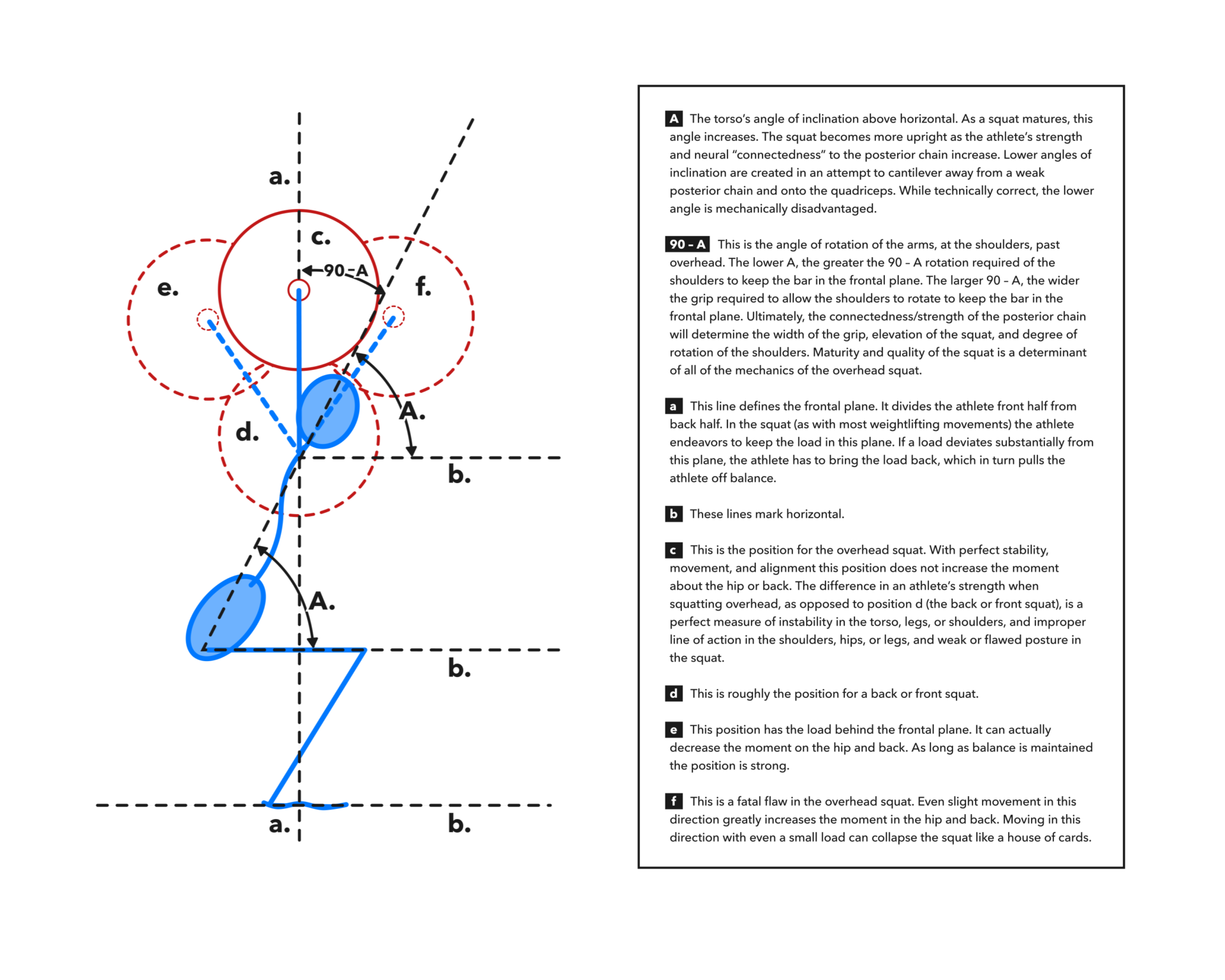 Front to back. Back Front диаграмма. Line of Action. Rotation Angle.