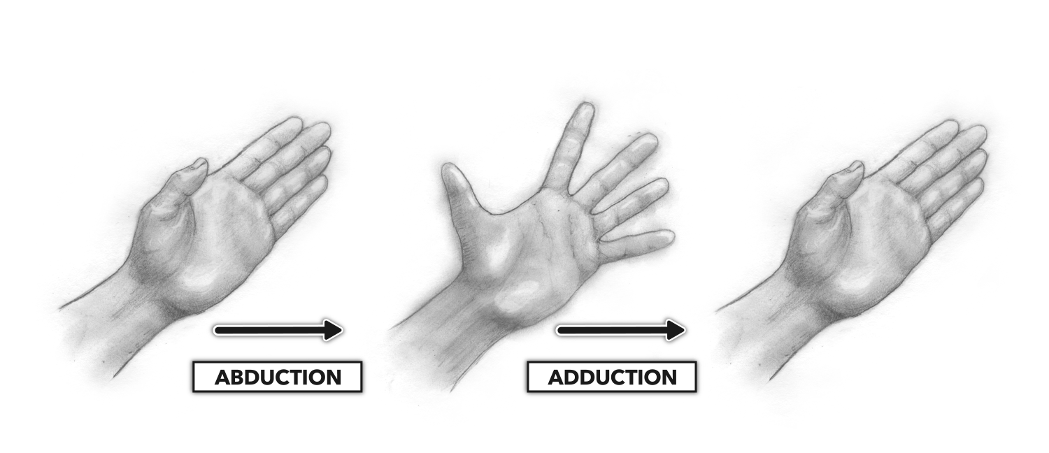 when you bring any of your fingers in contact with your thumb, this movement is called __________