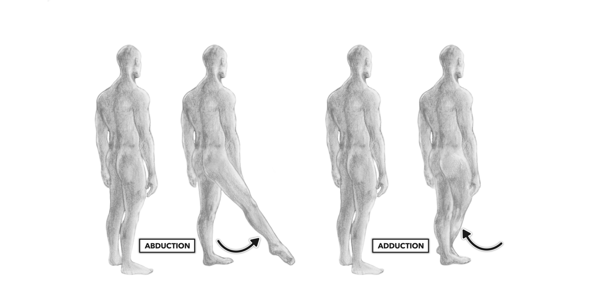 CrossFit | Movement About Joints, Part 5: The Hip