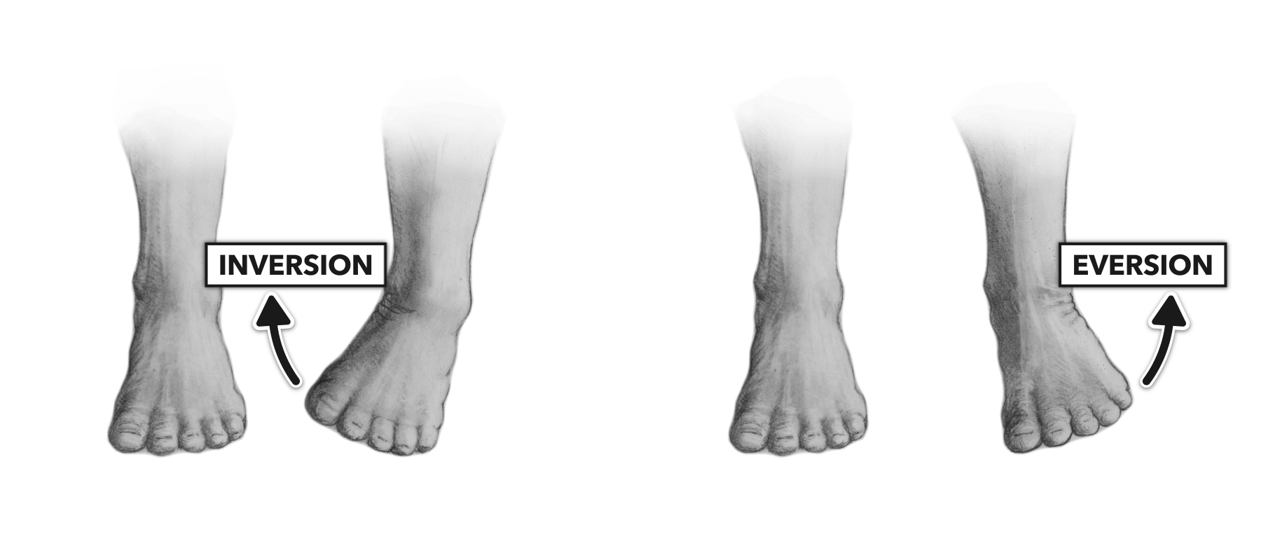 crossfit-movement-about-joints-part-7-the-ankle