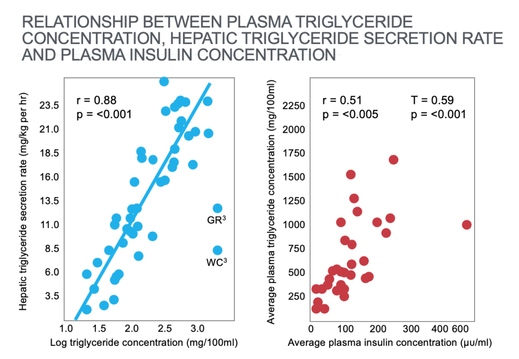 CrossFit | It’s the Insulin Resistance, Stupid: Part 2