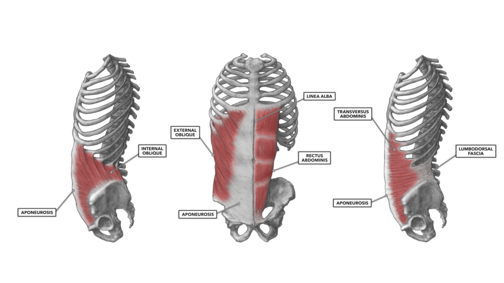 CrossFit | CrossFit.com - 191105