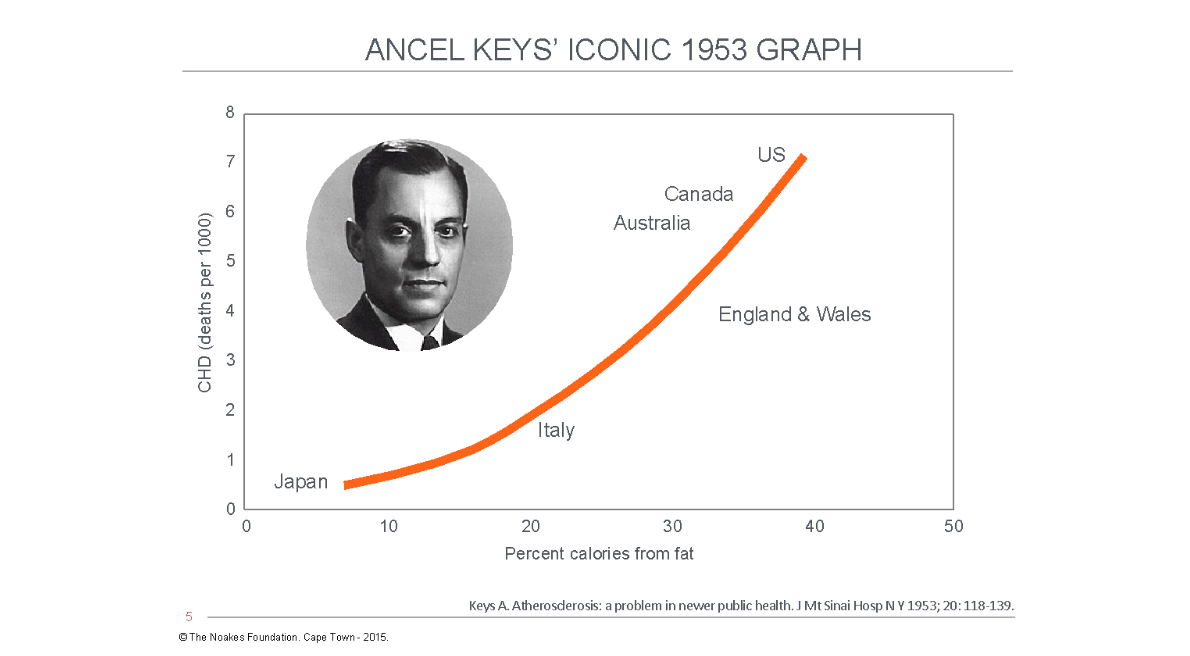 ancel keys minnesota starvation experiment