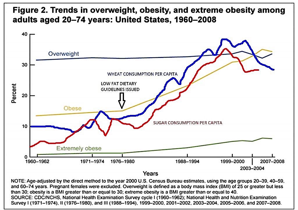 CrossFit | Diabetes, Part 3: Insulin, the Obesogenic Hormone