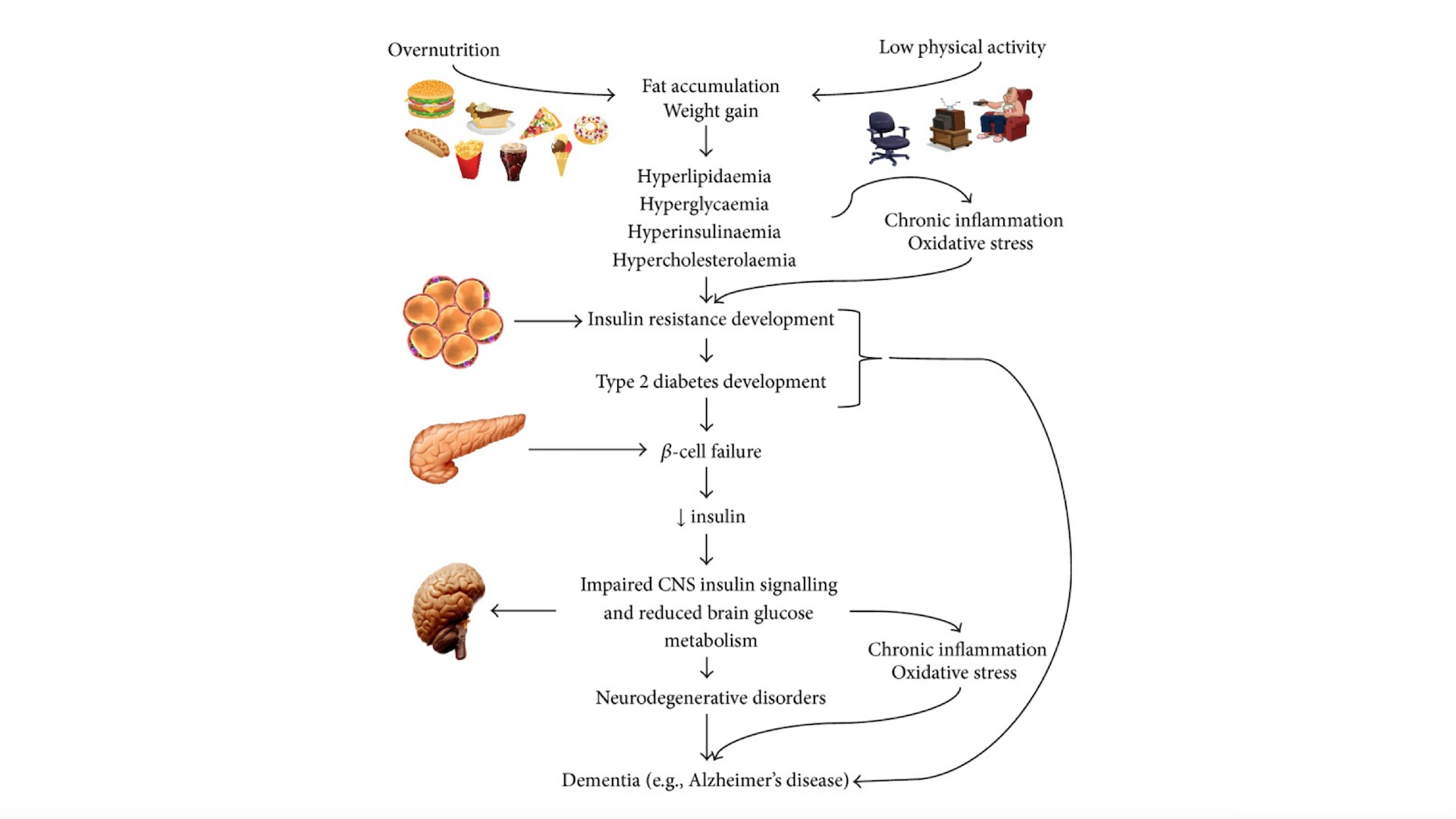 CrossFit | Inflammation and Oxidative Stress: The Molecular ...