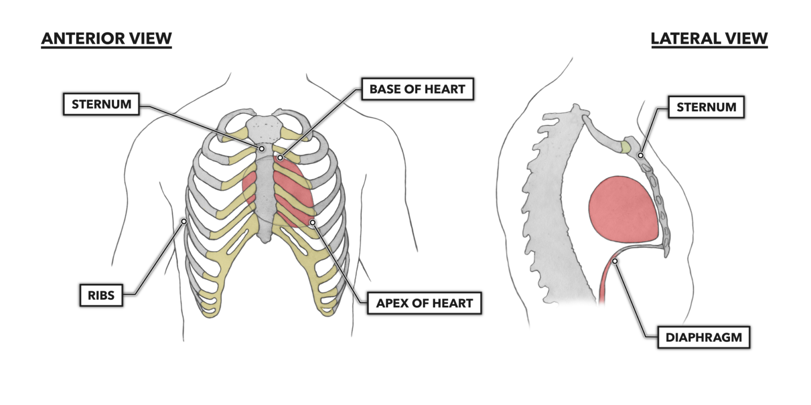 crossfit-the-heart-part-1-location-orientation