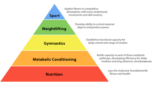 theoretical hierarchy of an athlete graphic