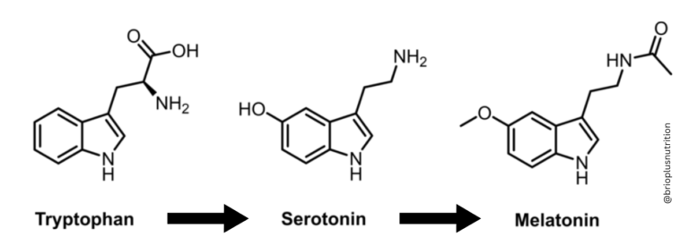 image of neurotransmitter molecules