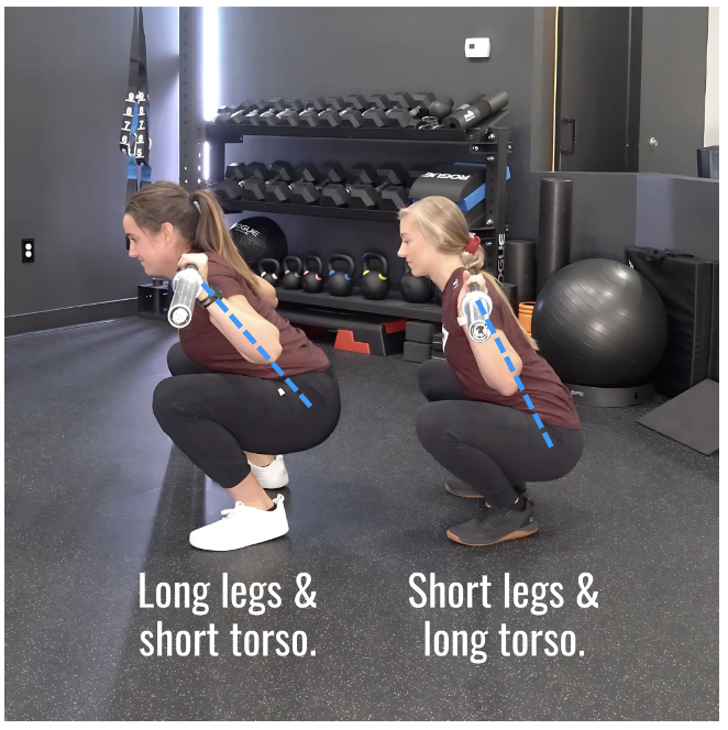 image of CrossFit athletes performing back squat with different body proportions